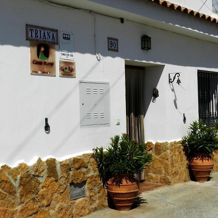Apartament Casa Triana Cuevas del Campo Zewnętrze zdjęcie