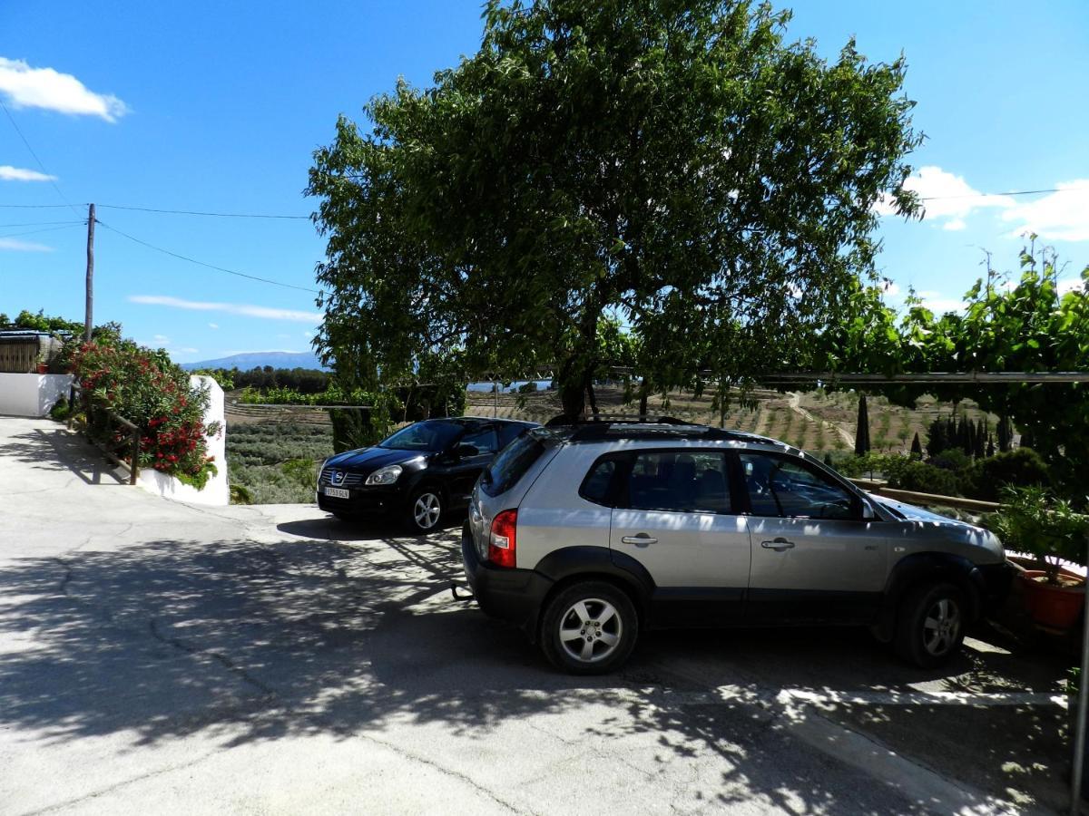 Apartament Casa Triana Cuevas del Campo Zewnętrze zdjęcie